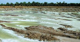 Salt beds formed by evaporation of periodic lakes