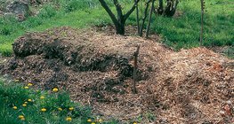 φυτικά υπολείμματα υπό αποσύνθεση (κόμποστ)