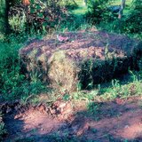 χουμοποίηση