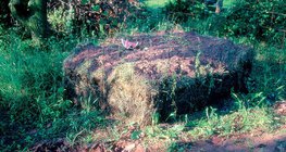 χουμοποίηση