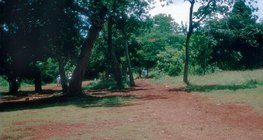 Laterite soil in Mexico