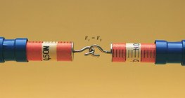 The two spring scales show equal force when pulled away from each other