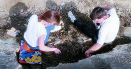 Archaeological excavation