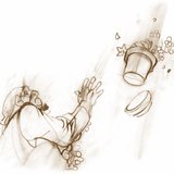 An object in free fall experiences acceleration due to gravity