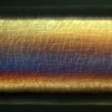 Ανθρώπινη τρίχα