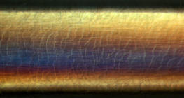 Ανθρώπινη τρίχα