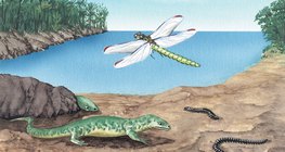 Flora and fauna of the Carboniferous period