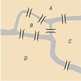 Οι Επτά γέφυρες του Κένιγκσμπεργκ