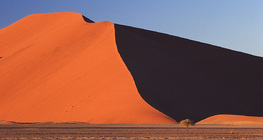 Dune in the Sahara