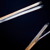 Μαλλιά με σχιστά άκρα