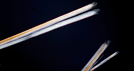 Μαλλιά με σχιστά άκρα