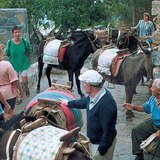 'Taxi stand' on the island of Rhodes