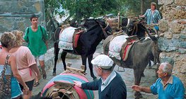'Taxi stand' on the island of Rhodes