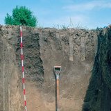 Profile of chernozem