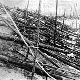 Aftermath of the Tunguska event of 1908