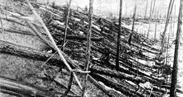 Aftermath of the Tunguska event of 1908