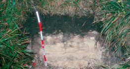 Profile of rendzina soil