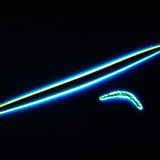 Sponge spicules - microscleres and megascleres (Spongilla lacustris)