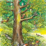 Ζώα του δάσους