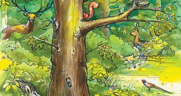 Ζώα του δάσους