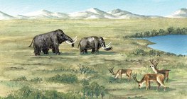 Flora and fauna of the ice age