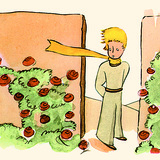 The Little Prince with the roses