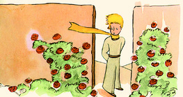 The Little Prince with the roses