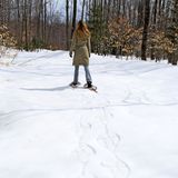 Snowshoe
