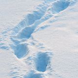 Footprints in the snow