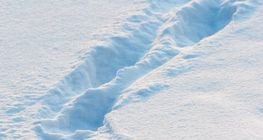 Footprints in the snow