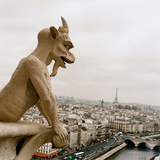 Chimera on the Notre-Dame de Paris