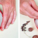 Making relief with plants in autumn - Step 1