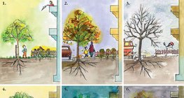 A tree's life in the city