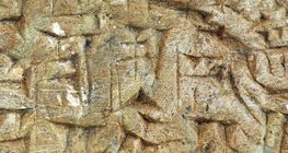 σφηνοειδές