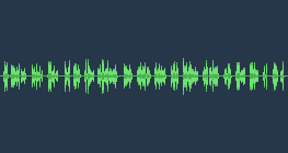 Sprachnachricht an Lisa