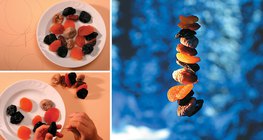 Homemade winter bird food