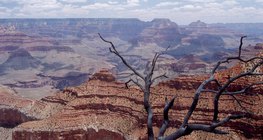 The Grand Canyon