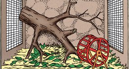 Organising an animal cage