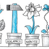 Bari is főnevekkel nevezi meg az élőlényeket, élettelen tárgyakat, elvont fogalmakat