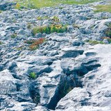 Surface covered with limestone