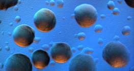 E. coli bacteria colonies (coloured background)