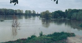 Αλλαγή στάθμης του Δούναβη – 1