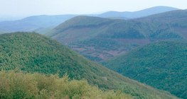 ρηξιγενή βουνά