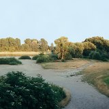 Αλλαγή στάθμης του Δούναβη – 2