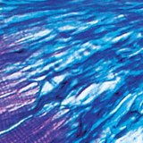 Connection between muscle and tendon