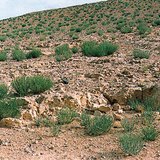 βραχώδης έρημος