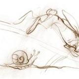 The snail is slow, while the rabbit is fast