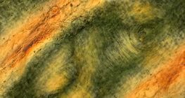 Διπλώσεις δέρματος ανθρώπινου δακτύλου κάτω από πολωμένο φως