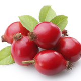 Rose hip