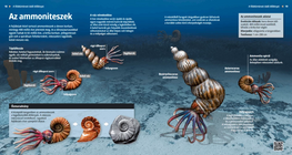 Ammonites